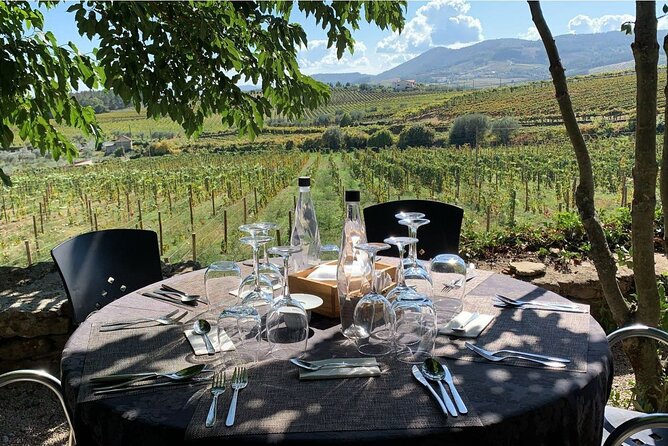 Douro Full Day Tour with Wine Tasting and Lunch - Getting Started: Cais da Régua and the 9:30 AM Move