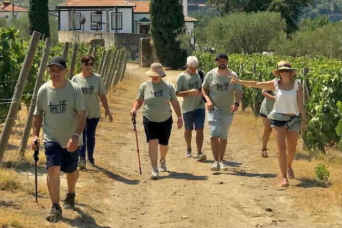 Douro: luxury walking tour with lunch at Quinta da Pacheca - Lunch at the Quinta da Pacheca restaurant: when pairing becomes part of the meal