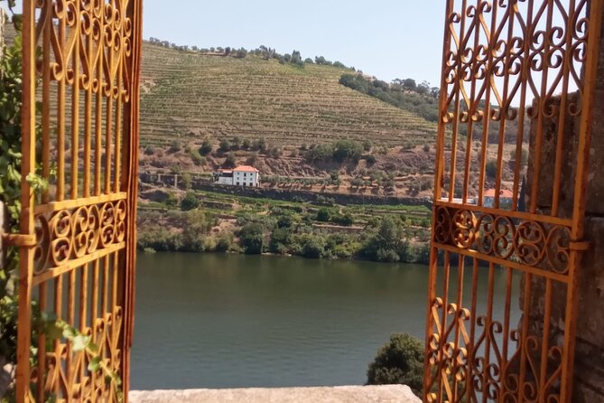 Douro: luxury walking tour with lunch at Quinta da Pacheca - Getting the most from the experience (without overplanning)