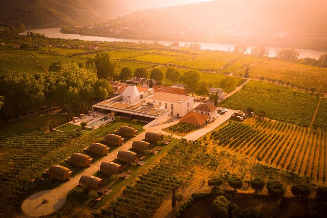 Douro: luxury walking tour with lunch at Quinta da Pacheca - Who this tour suits best (and who might want a different option)