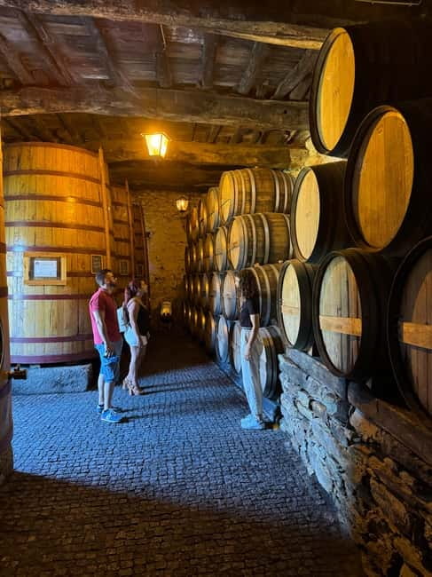 Douro offroad experience: visit to a winery and a picnic - Key Highlights You’ll Actually Feel During the Day