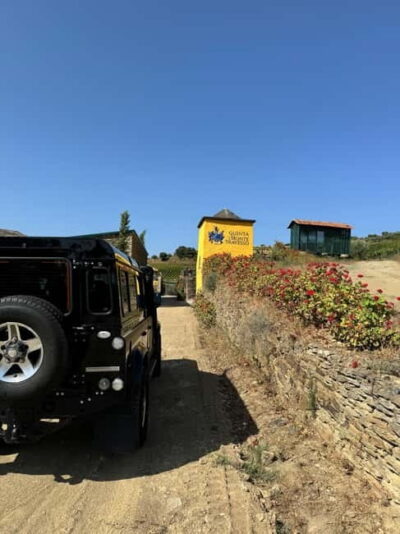 Douro offroad experience: visit to a winery and a picnic - Pickup and Timing: Where the Day Starts (and How Smooth It Feels)