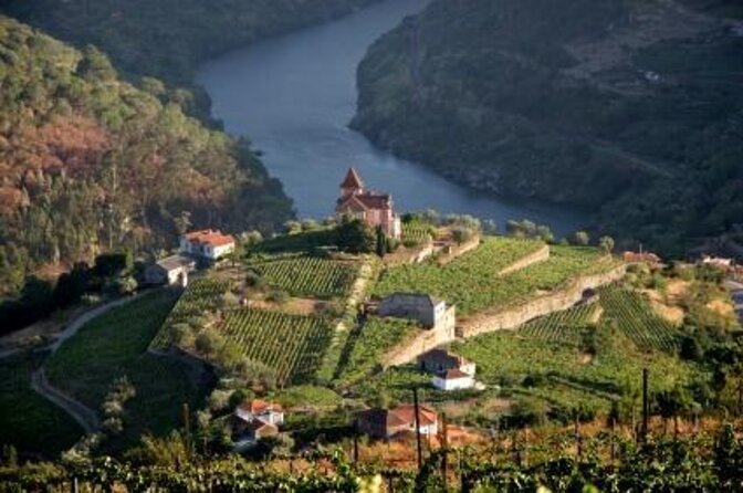 DOURO PREMIUM - What Douro Premium Is Really About: Views, Tasting, and No Guesswork