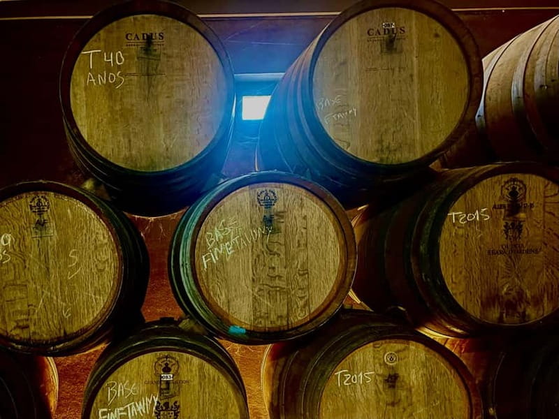 DOURO PREMIUM - The Vineyards and Wine Tasting Stop: Guided, Structured, and Time to Enjoy