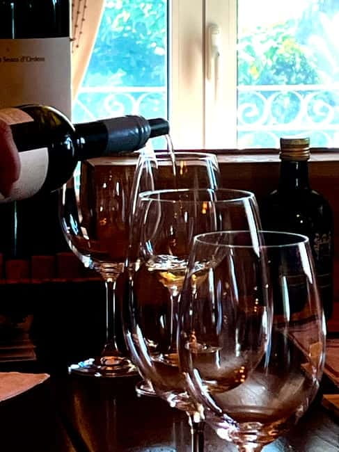 DOURO PREMIUM - Pinhão Boat Cruise on the Douro: 55 Minutes That Change How You See It
