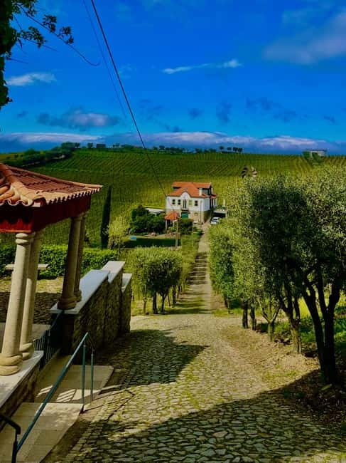 DOURO PREMIUM - What to Pack and How to Plan Your Day Around It