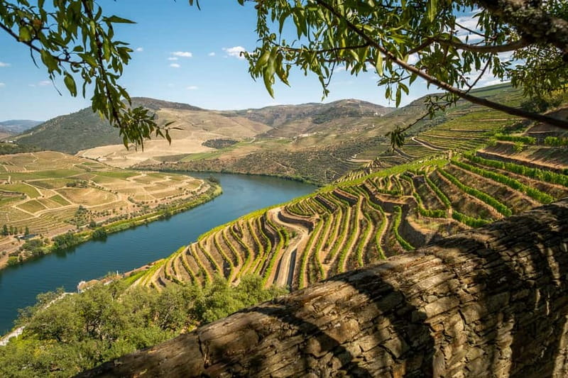 Douro Private Signature Tour – Customizable Experience - Key things worth knowing before you go