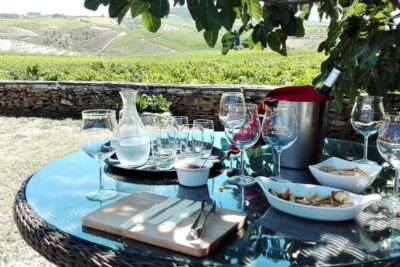 Douro Private Signature Tour – Customizable Experience - How the 9 Hours Typically Shape Up (Pickup to Drop-Off)