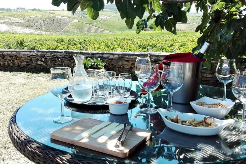 Douro Private Signature Tour – Customizable Experience - How the 9 Hours Typically Shape Up (Pickup to Drop-Off)