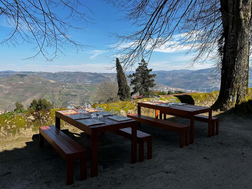 Douro: Quinta de Santa Júlia Lunch, Tour, & Wine Tasting - The Estate Walk: Gardens, Woodlands, and Vineyard Views