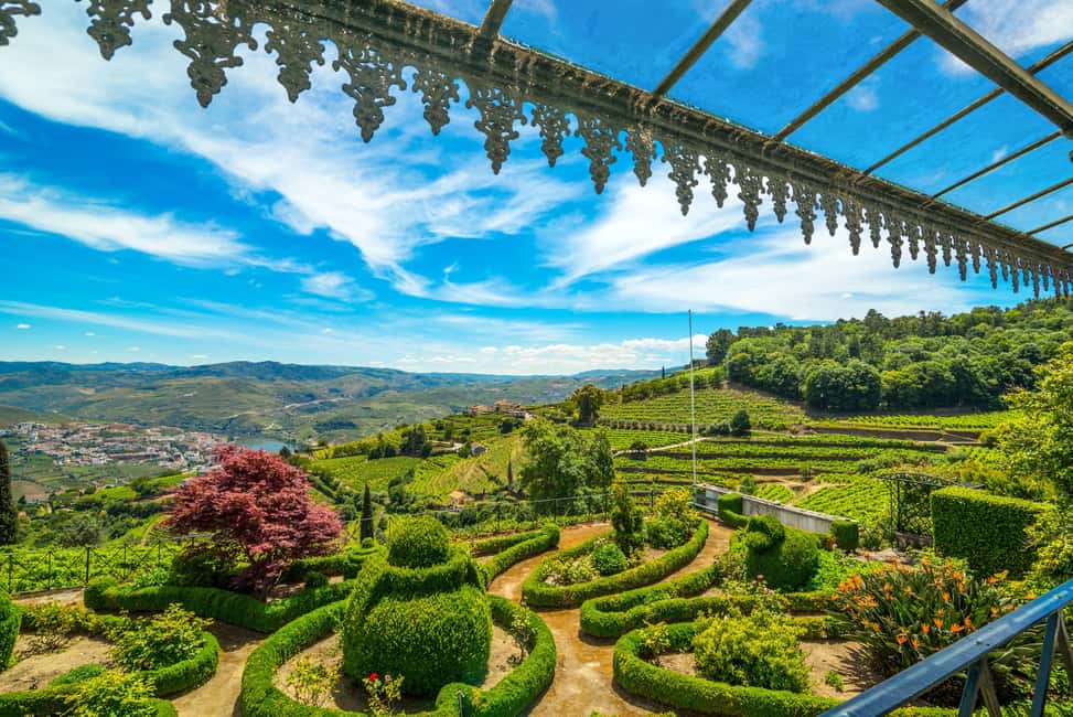 Douro: Quinta de Santa Júlia Lunch, Tour, & Wine Tasting - Wine Tasting: Terroir Talk You Can Actually Use