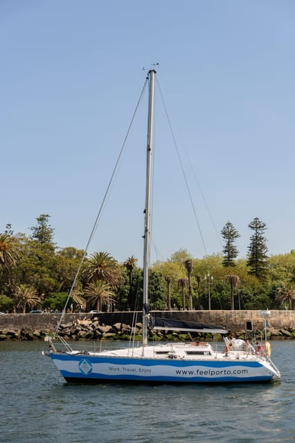 Douro River Cruise with Cheese & Tonic Porto in a Sailboat - Alfândega, Porto: Where the City Meets Commerce