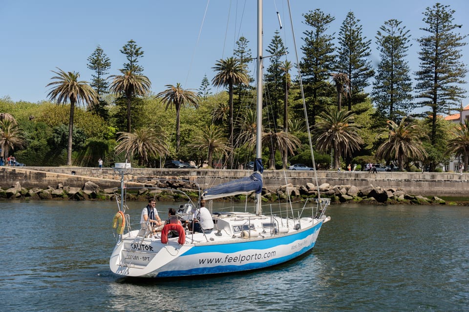 Douro River Cruise with Cheese & Tonic Porto in a Sailboat - Dom Luís I Bridge: The Big Crossing You’ll Remember