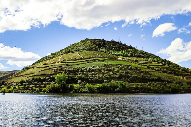 Douro | Roots & History - Tour with a local - Key highlights you’ll actually care about