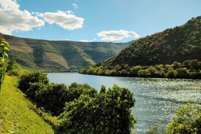 Douro | Roots & History - Tour with a local - Pinhão Viewpoint: Terraces, River Lines, and a Quick Photo Window