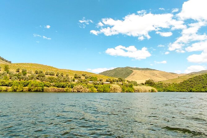 Douro | Roots & History - Tour with a local - Lunch at Centro Interpretativo - As Idades da Terra: Home Cooking, Olives, and Family Hosting
