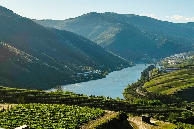 Douro | Roots & History - Tour with a local - Cumieira Winery Visit: Final Tasting and the Best Way to End Strong