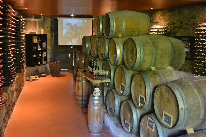 Douro Three Winery Small Group Tour with Lunch and Tastings - Key things I’d watch for before you go