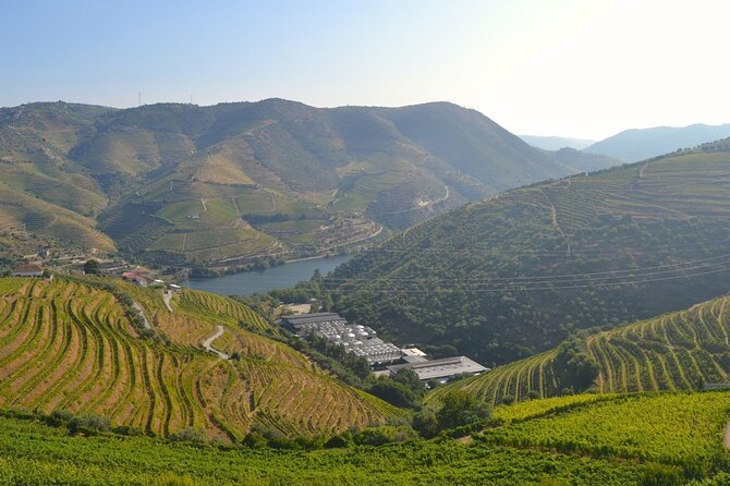 Douro Three Winery Small Group Tour with Lunch and Tastings - Sabrosa: Historic Town Stops and the Final Winery Taste