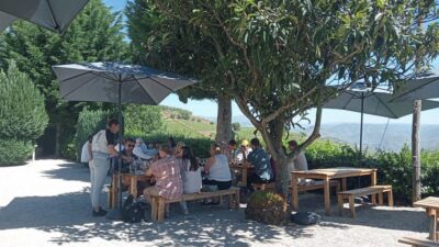 Douro Tour with Wine Tasting and Visit to Lamego and Pinhão - The Ride Toward Pinhão: Scenic Stops Without the Stress