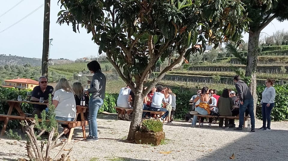 Douro Tour with Wine Tasting and Visit to Lamego and Pinhão - Price and Value: Is $93 a Good Deal?
