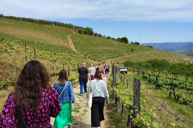 Douro Tour with Wine Tasting, River Cruise and Visit to Lamego - A Porto-to-Douro Day Plan That Actually Feels Light