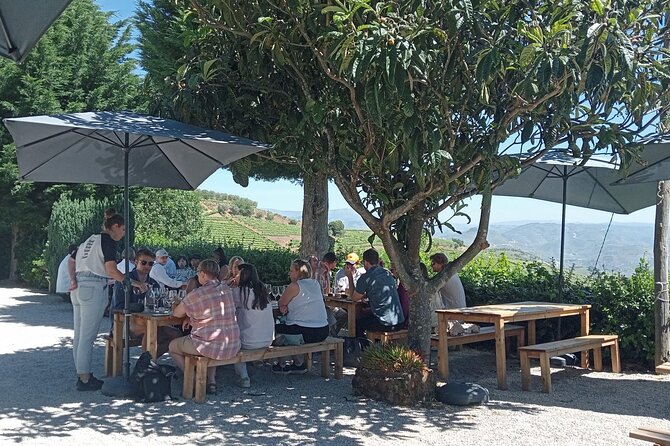 Douro Tour with Wine Tasting, River Cruise and Visit to Lamego - The National Road 222 Drive: Famous Views, Zero Map Reading