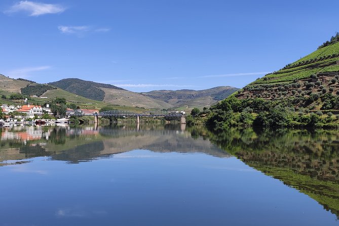 DOURO TOURS - Premium Tour - Two tastings at one Quinta circuit: DOC Douro, then Porto