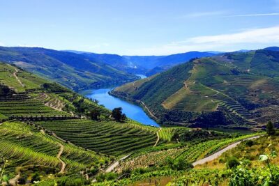 DOURO TOURS - Premium Tour - Start in Pinhão: meeting at the fluvial dock, then straight onto the water