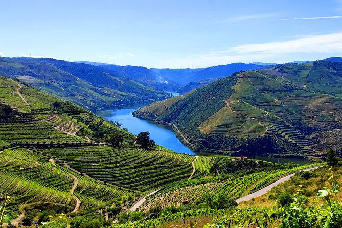 DOURO TOURS - Premium Tour - Start in Pinhão: meeting at the fluvial dock, then straight onto the water