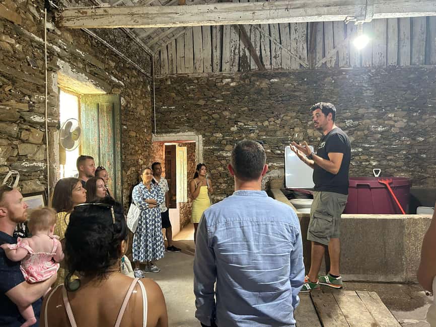 Douro valley: 10 km hike in the Valley - Pinhão sightseeing and wine rhythm: a story-filled stop