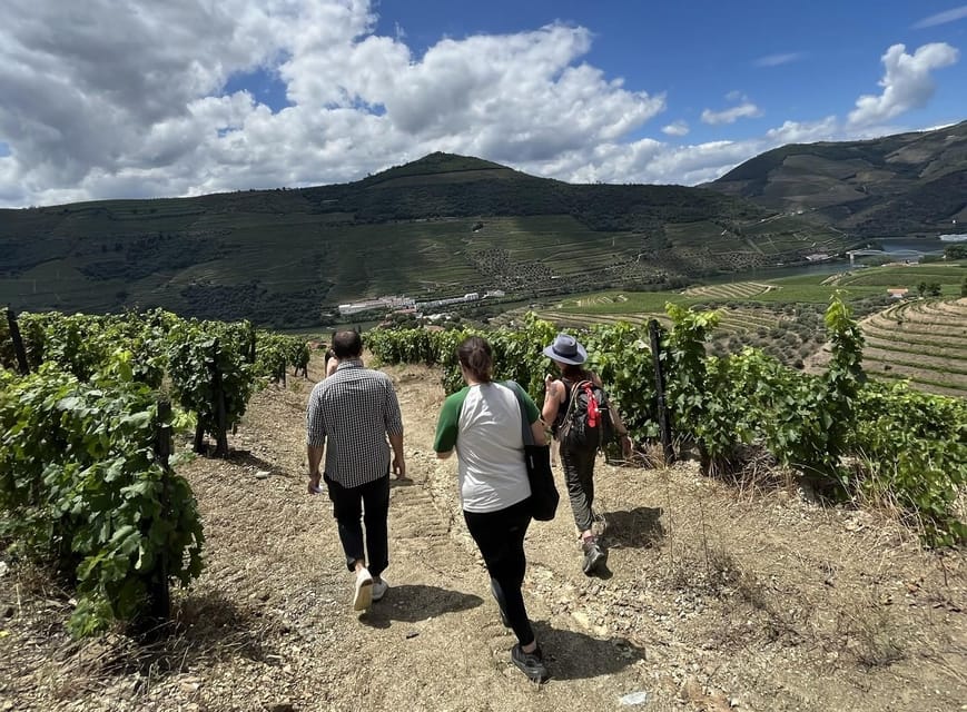 Douro valley: 10 km hike in the Valley - Pace, heat, and what “moderate” means in the real world