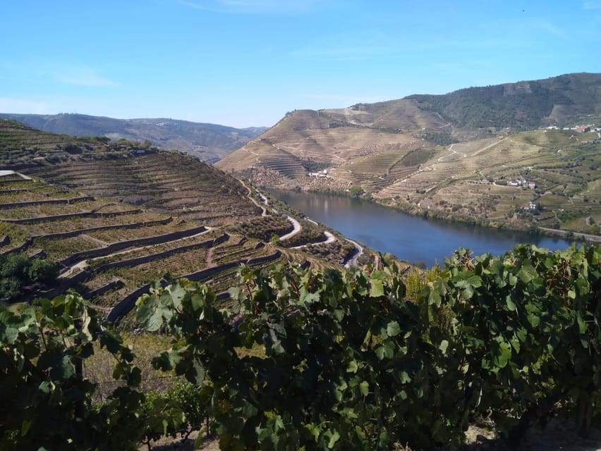 Douro Valley & Amarante - from Porto, Braga or Guimarães - Key things to know before you go