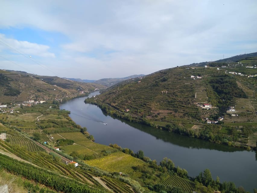 Douro Valley & Amarante - from Porto, Braga or Guimarães - What it’s like with Ricardo at the wheel