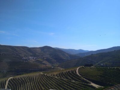 Douro Valley & Amarante - from Porto, Braga or Guimarães - Getting picked up in Porto, Braga, or Guimarães