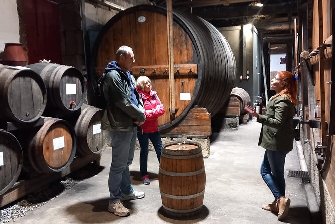 DOURO VALLEY & AMARANTE: Private Tour, Wine Tour and Cruise - Price and value: is $298.18 per person a smart spend?