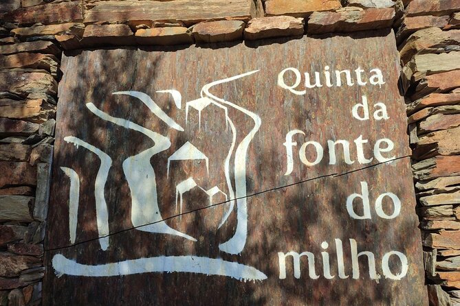 Douro Valley amazing wine Tours - EN 222 scenic road views: the drive becomes part of the tour