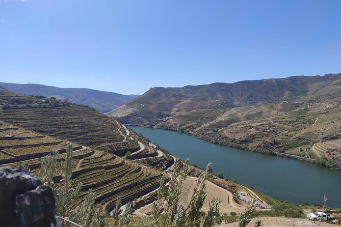 Douro Valley amazing wine Tours - Folgosa and Valdigem: two more small-producer tastings that finish strong
