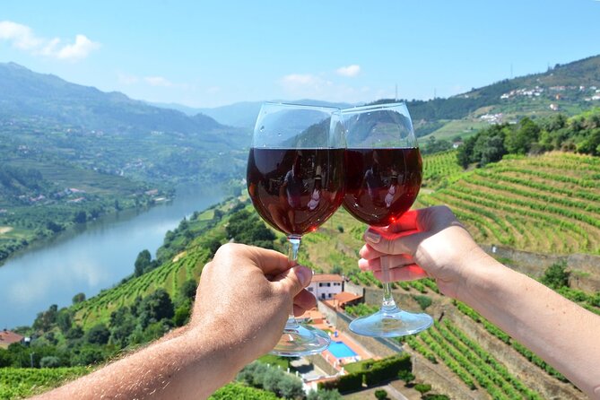 Douro Valley Delights Wine Tasting and Scenic Vistas - Key highlights worth planning around