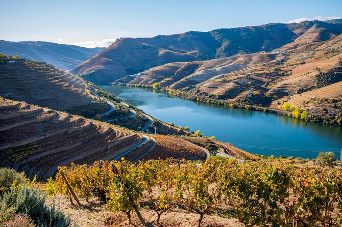 Douro Valley Delights Wine Tasting and Scenic Vistas - Quinta do Tedo: Organic Vineyards and Panoramic Tastings