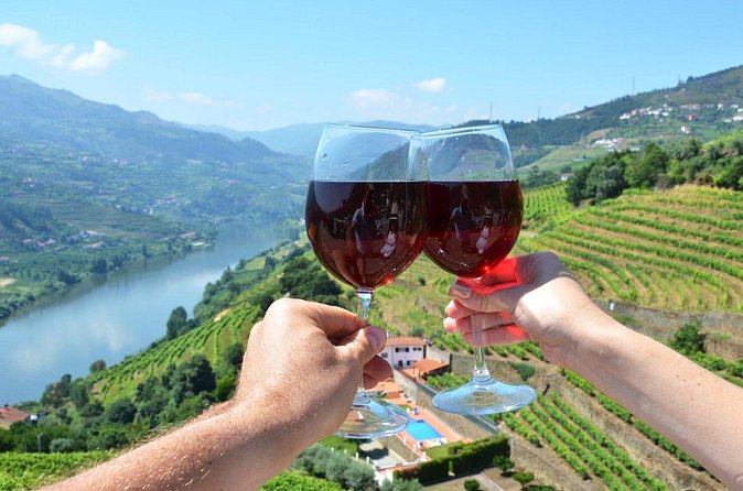 Douro Valley Delights Wine Tasting and Scenic Vistas - Pinhão Village and the Tile-Mural Train Station