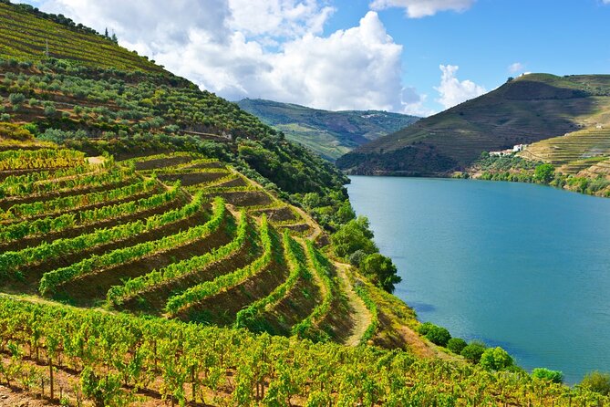 Douro Valley Delights Wine Tasting and Scenic Vistas - Price and Value of a 10-Hour Private Wine Route