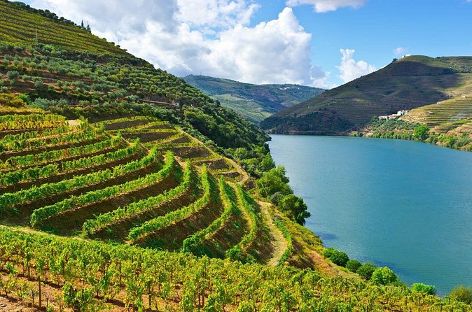 Douro Valley Delights Wine Tasting and Scenic Vistas - Comfort, Timing, and Who This Tour Fits Best