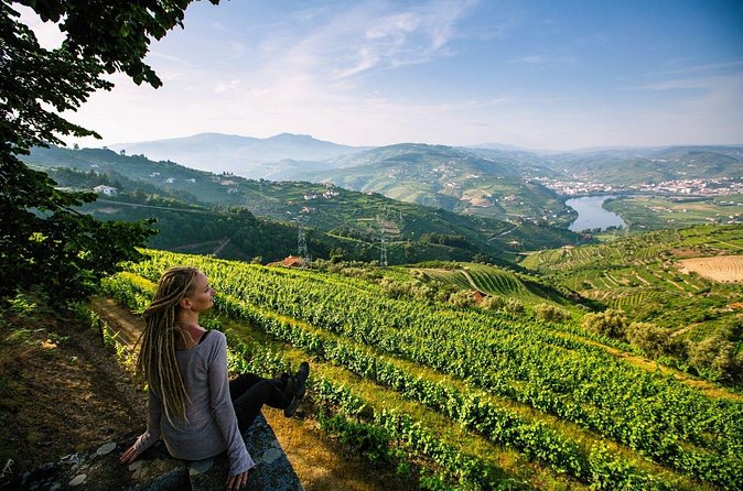 Douro Valley Delights Wine Tasting and Scenic Vistas - Good Weather Helps on This Scenic Route