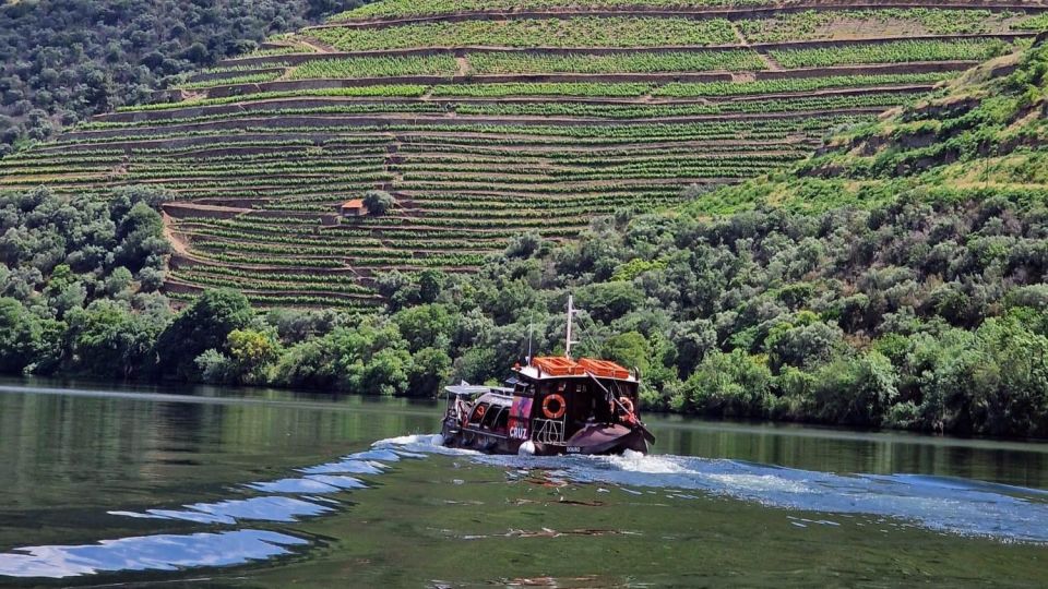 Douro Valley-Expert Guide-Boat-Lunch-Tastings PremiumService - A Premium Douro Day Trip From Porto That Doesn’t Feel Like a Sprint