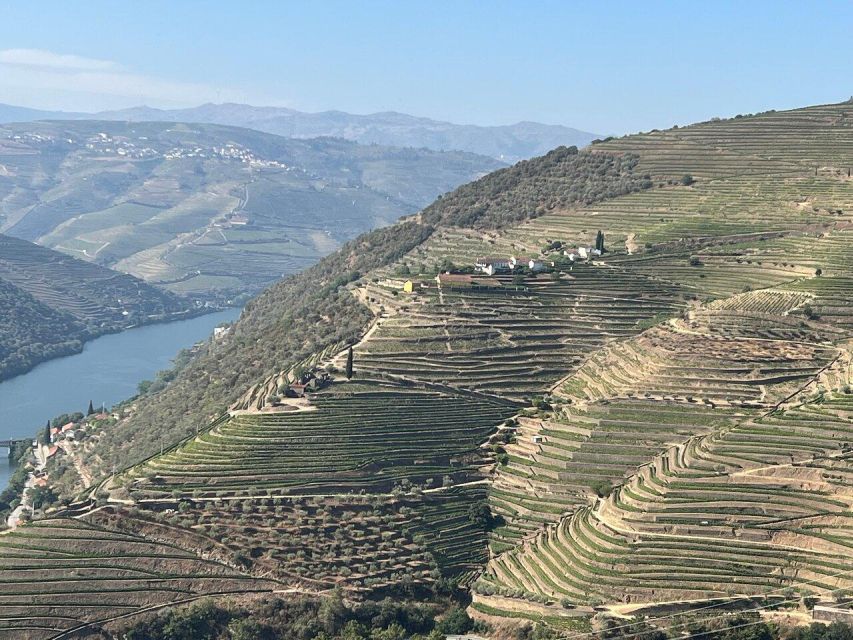 Douro Valley-Expert Guide-Boat-Lunch-Tastings PremiumService - Lunch With Unlimited DOC Wine: A Real Meal, Not a Speed Snack