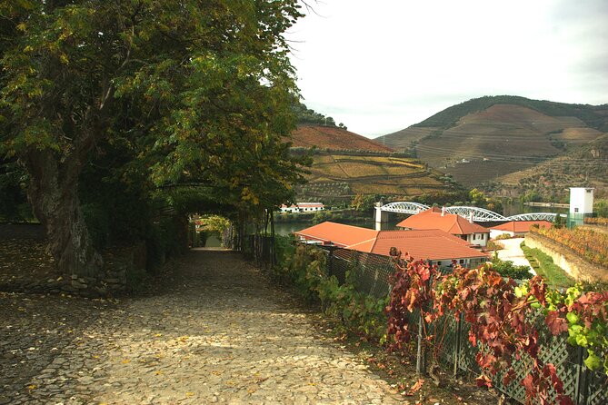 Douro Valley: From Casal de Loivos to Pinhão Walk and Wine Tour - Casal de Loivos village time: viewpoints without the rush