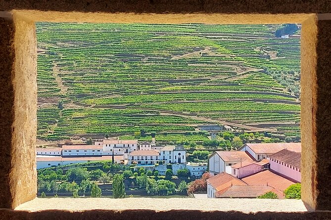 Douro Valley Full Day Tour with River Cruise and Wine Tastings - From Trindade to the Douro: the day’s pace and what you actually get