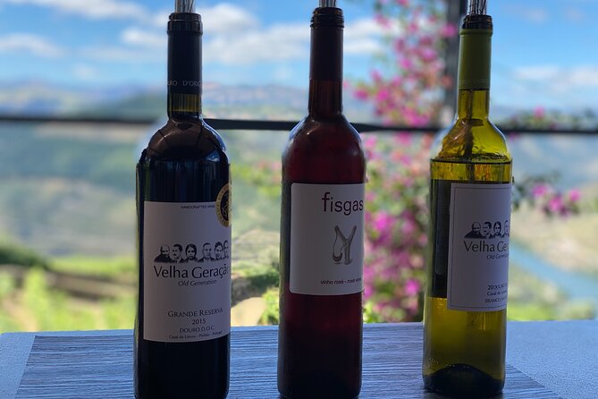Douro Valley in a Tesla - Stop 1: D’Origem olive oil museum and tasting