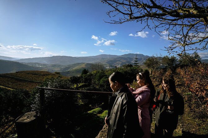 DOURO VALLEY: Lunch in a winery, tastings & 1-h private boat tour - Premium option: the extra Pinhão winery visit (and why it’s worth it)